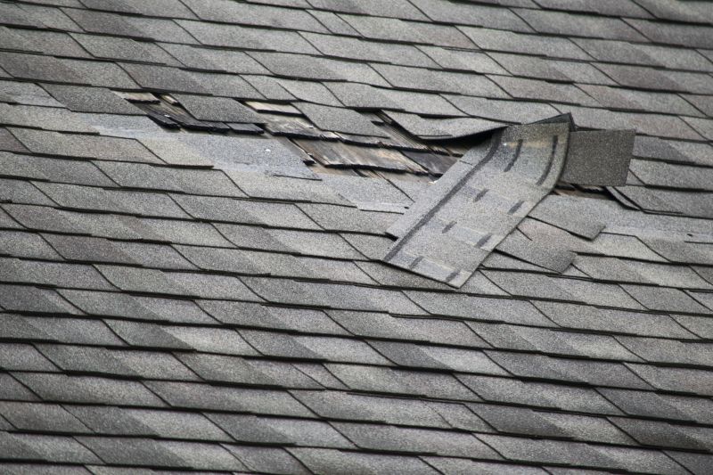 Asphalt Roof Repair Image 3