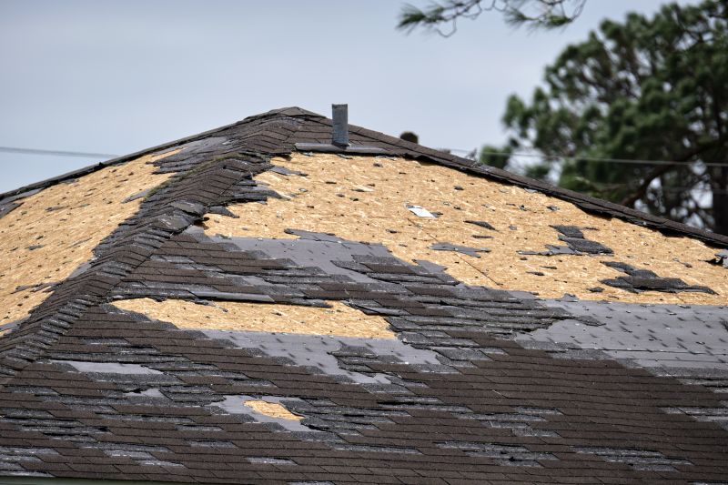 Damaged Roof Section